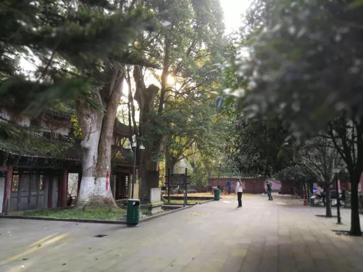 ΢Ƭ_20171129103612.jpg