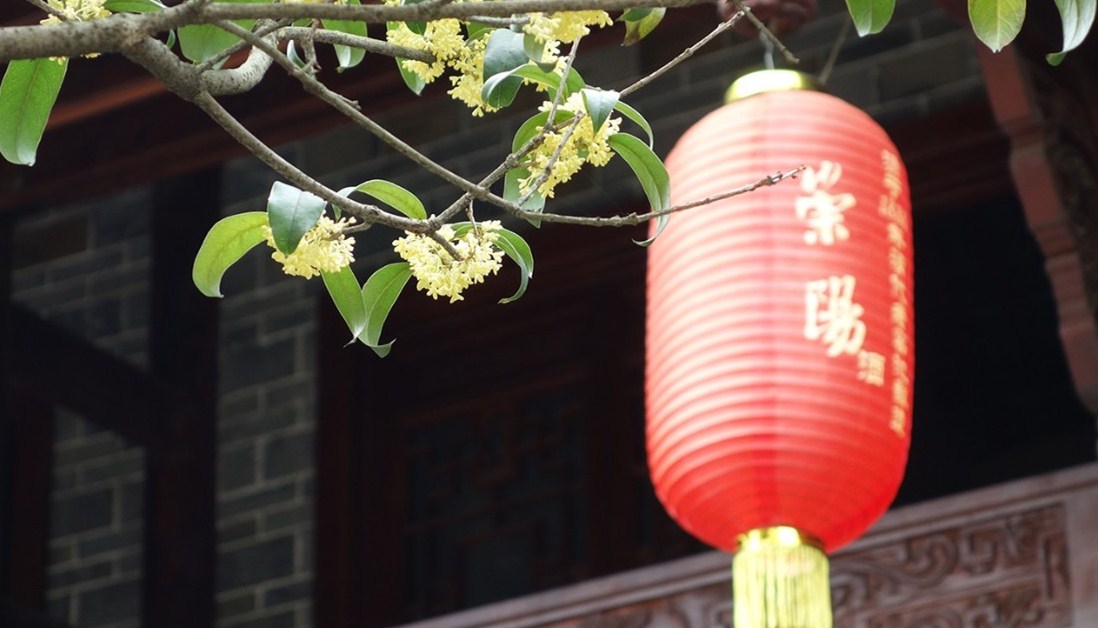微信图片_20180921092350_副本.jpg